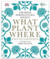 What plant where