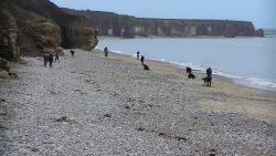 Seaham beach 