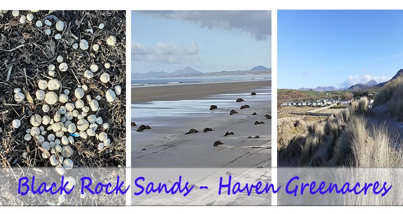 Black rock sands - haven greenacres