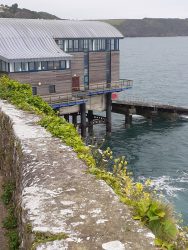 Haven Kiln Park Tenby boat trips to caldey island