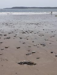 Haven Kiln Park Tenby beach