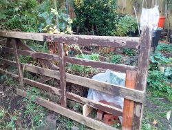 cutting back autumn garden cleanup repaint the gate