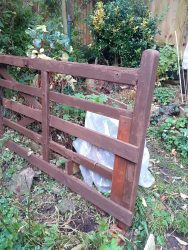 cutting back autumn garden cleanup repaint the gate