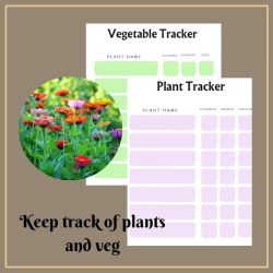 garden planner by sunny jean