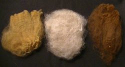 alpaca roving from Emma Burton