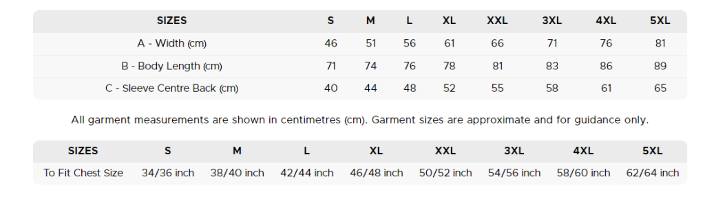 Sizing Gildan heavey t shirt 1