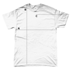 Sizing Gildan heavey t shirt 2