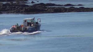 Sailing on the Solway Firth